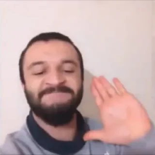 🤚