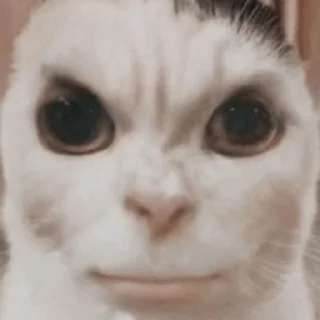 😈