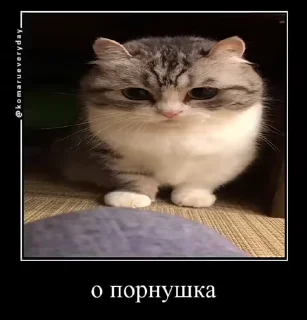 😒