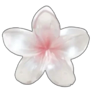 🌸