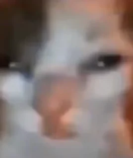 😔