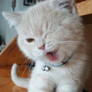 😉