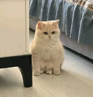 😕
