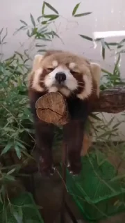 ☺️