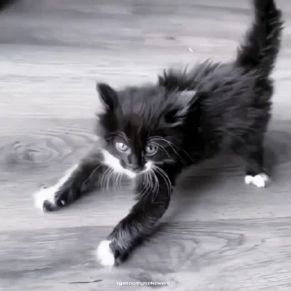 🍙