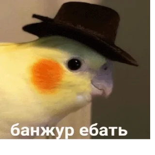 👋