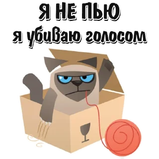 🐱