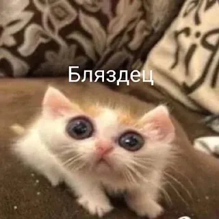 😊