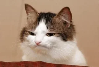 😑