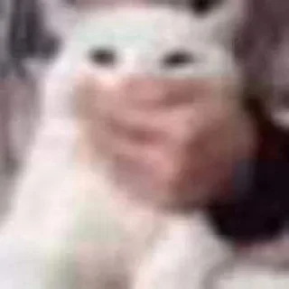 🫢