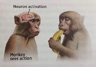 🍌