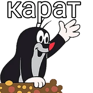 👨‍🦯