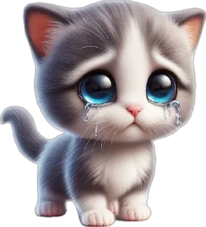 😭