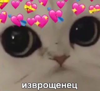 ❤️