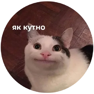 😋