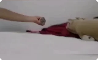 🌟