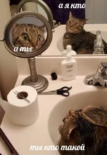 🥸