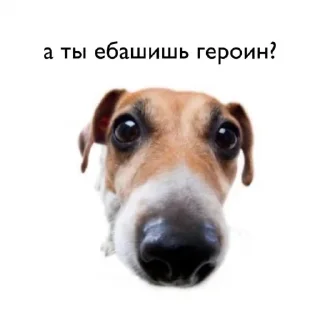 😃