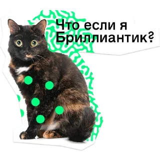 😠