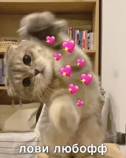 ❤️