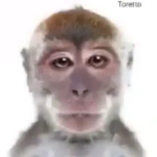 😑
