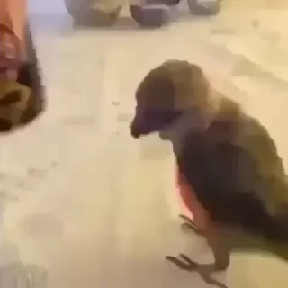 🤭