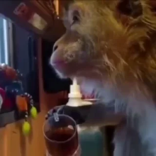 ☕️