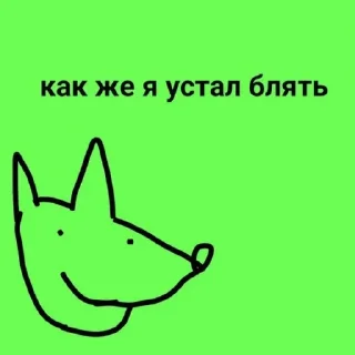 😪