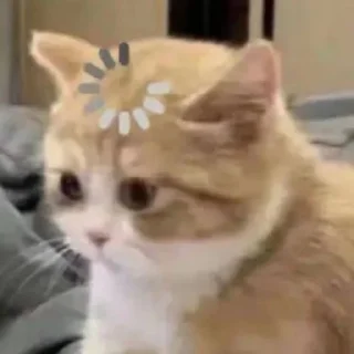 😵‍💫