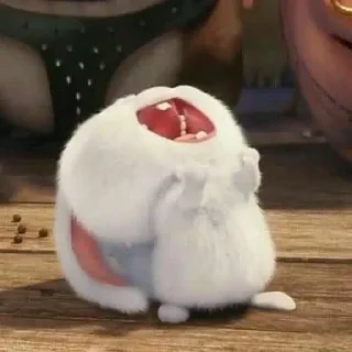 🤣
