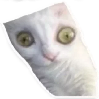 😳