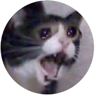 😕