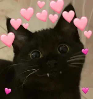 🥰