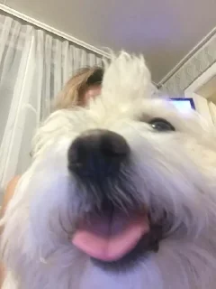 😇