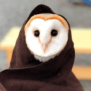 ☕️