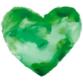 💚