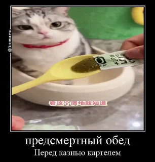 🤩