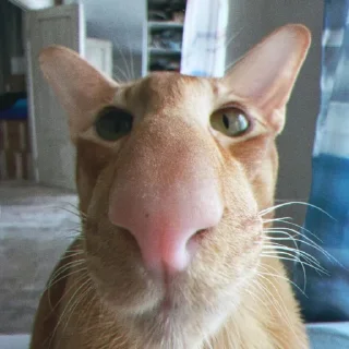 🙂