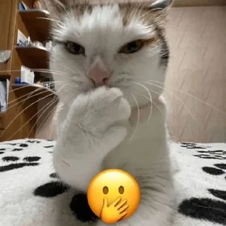 🫢