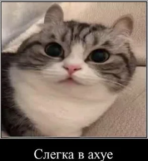 😳