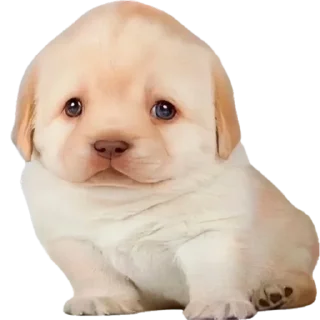 ☺️