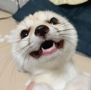 😃