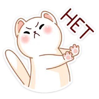 🙅‍♂️