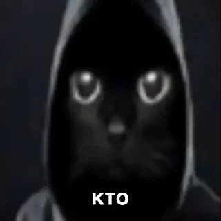 😎
