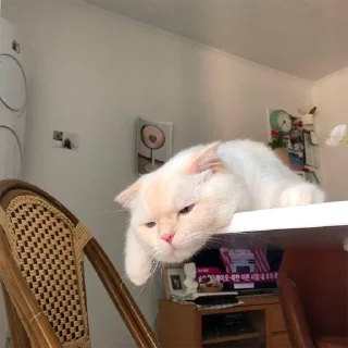 😴