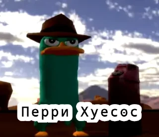 🦆