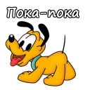 ✋