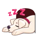 😴
