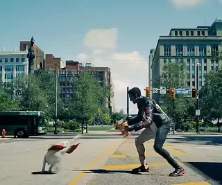 🐶
