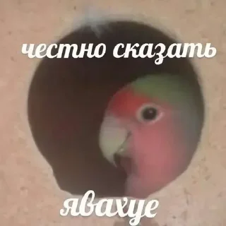 😯
